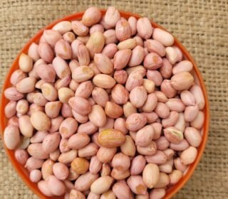 Peanuts (Groundnut)