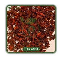 4000 PX STAR ANISE