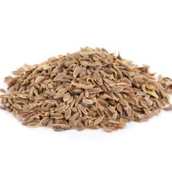 WhatsApp Image 2025-08-30 at 3.14.15 PM