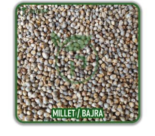 Green Millet
