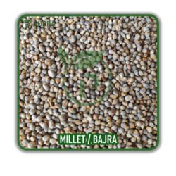 4000 PX MILLET BAJRA