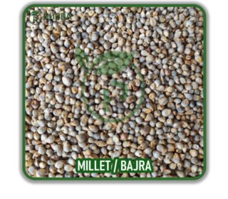 Green Millet