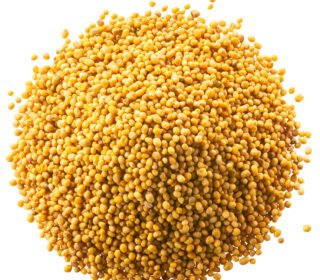 Yellow Mustard