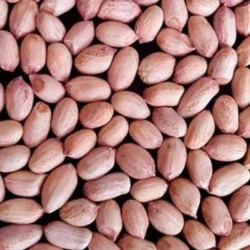 tumkur-2-peanuts-500x500