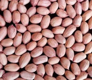 TJ- Peanuts