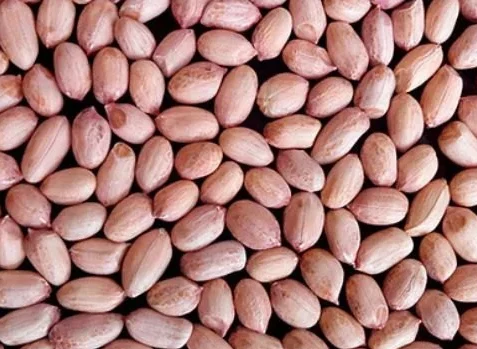 TJ- Peanuts