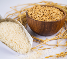 Indian Origin Products