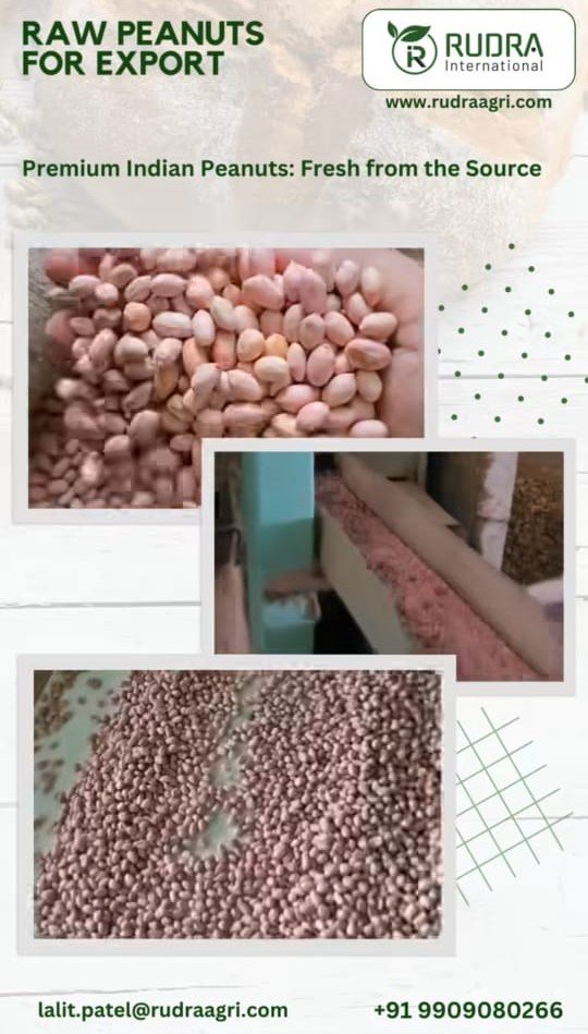 https_www.instagram.com_reel_C8wTiqCv-GF_utm_source=ig_web_copy_link&igsh=MzRlODBiNWFlZA==