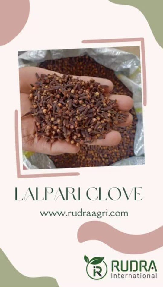 https_www.instagram.com_reel_DJ1Voe9v9ff_utm_source=ig_web_copy_link&igsh=MzRlODBiNWFlZA==