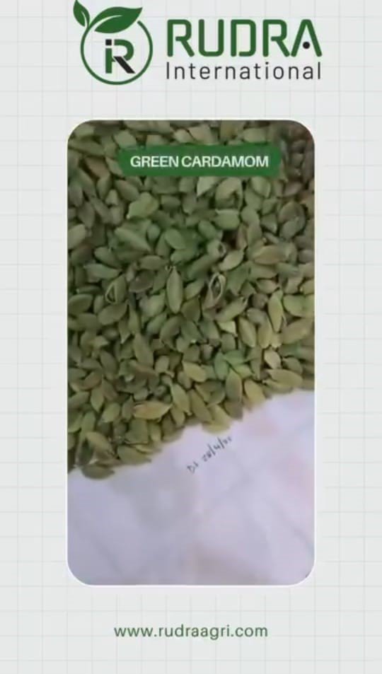 https_www.instagram.com_reel_DJ1ZjRDPgIY_utm_source=ig_web_copy_link&igsh=MzRlODBiNWFlZA==