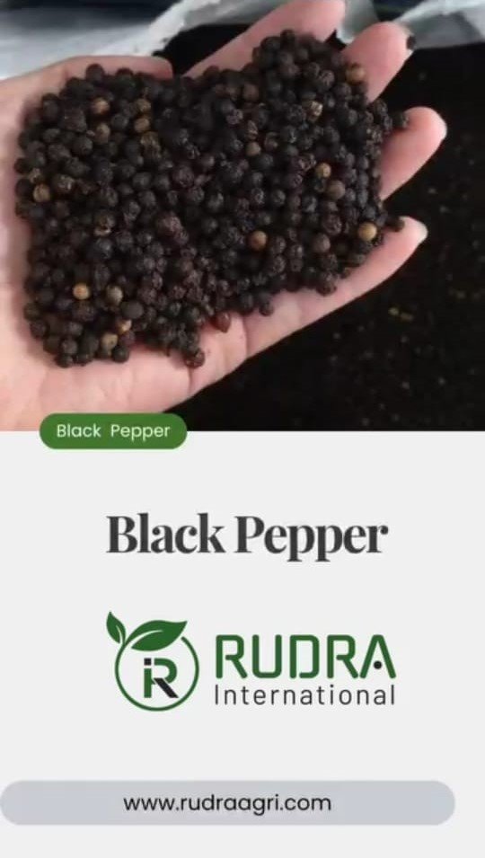 https_www.instagram.com_reel_DJtszA5CGvQ_utm_source=ig_web_copy_link&igsh=MzRlODBiNWFlZA==